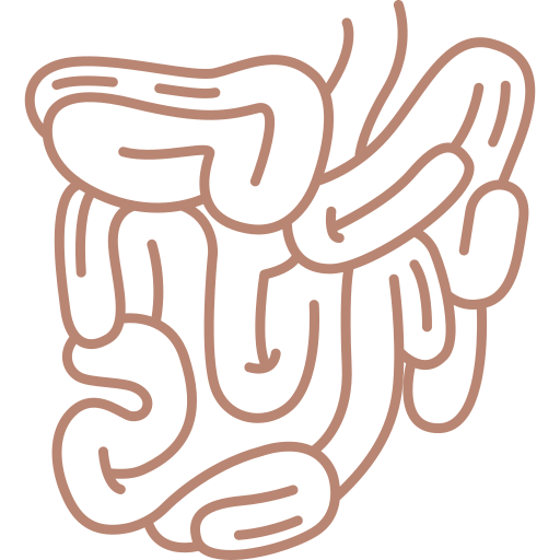 small-intestine-4